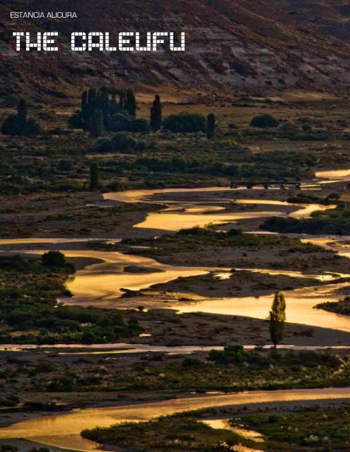 ESTANCIA ALICURA Central Patagonia - Tailwaters Fly Fishing Co.