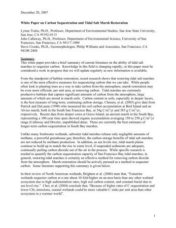 essay on carbon tax essay on carbon tax