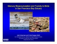 Mercury Bioaccumulation and Toxicity to Birds in San Francisco Bay ...