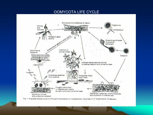 Lectures 2 and 3 - Introduction to Plant Pathology