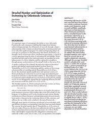 Strouhal Number and Optimization of Swimming by Odontocete ...