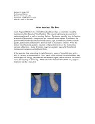 Adult Acquired Flat Foot - Medical College of Wisconsin ...