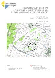 BebauungsplanÃ¤nderung Belchenblick - textlicher Teil.pdf