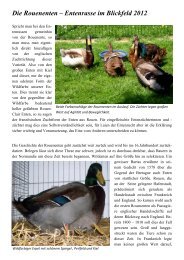 Rouenenten Internet 2012 - Enten-sv.de