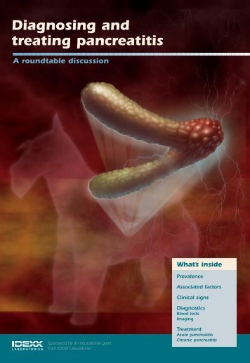 Pancreatitis - A roundtable discussion - IDEXX Laboratories