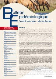 TÃ©lÃ©charger le Bulletin Ã©pidÃ©miologique nÂ°49 (PDF - 6.1 Mo)