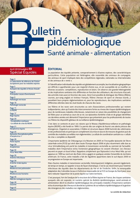 TÃ©lÃ©charger le Bulletin Ã©pidÃ©miologique nÂ°49 (PDF - 6.1 Mo)