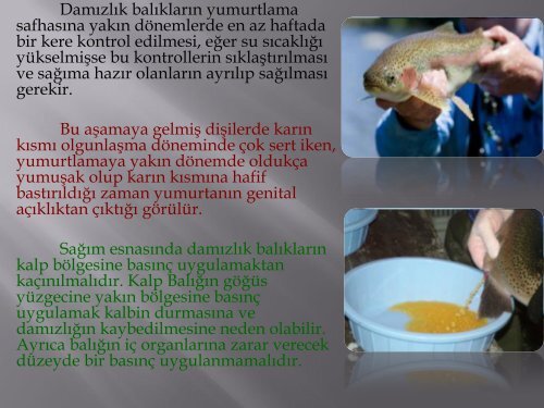 Su Ã¼rÃ¼nleri yetiÅtiriciliÄi