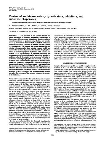 Control of src kinase activity by activators, inhibitors, and  substrate ...