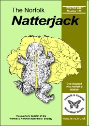 Natterjack - Norfolk and Norwich Naturalists' Society