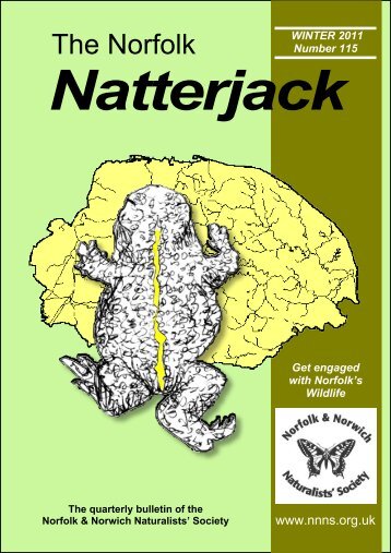 Natterjack - Norfolk and Norwich Naturalists' Society