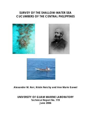 survey of the shallow-water sea cucumbers of the central philippines