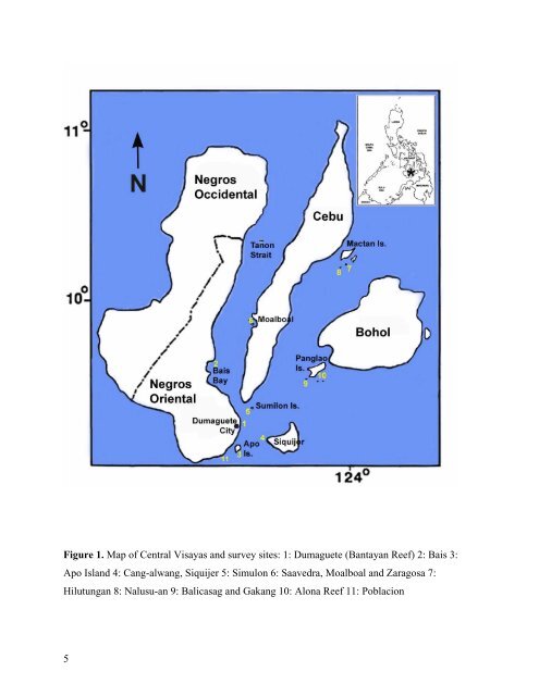 survey of the shallow-water sea cucumbers of the central philippines