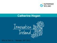 Enterprise Ireland's presentation - Tipperary