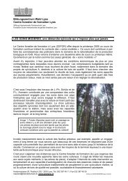 Bildungszentrum Wald Lyss Centre forestier de formation Lyss LES ...