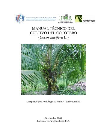 MANUAL TÃCNICO DEL CULTIVO DEL COCOTERO ... - PalmTalk