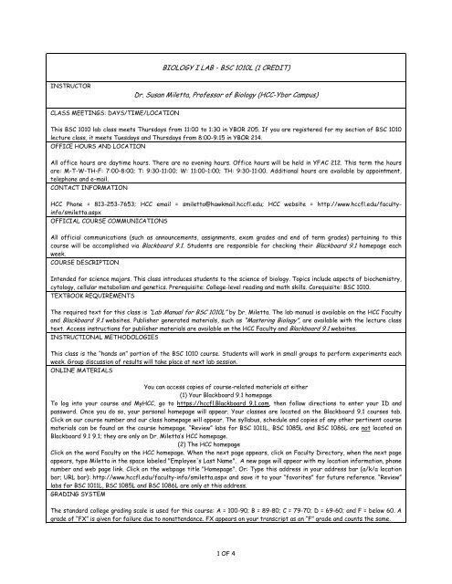 Bsc blackboard 2024