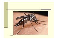 Apresentao Sindifars - Dengue