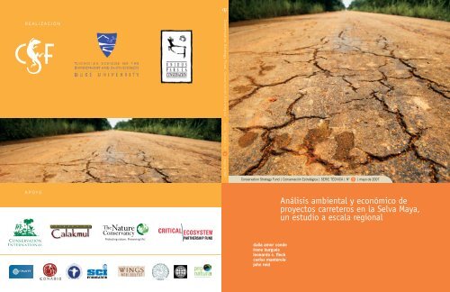 Análisis ambiental y económico de proyectos carreteros en la Selva ...