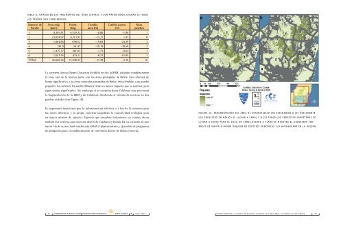 Análisis ambiental y económico de proyectos carreteros en la Selva ...