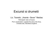 Excursii si drumetii - Liceul Teoretic âAxente Severâ