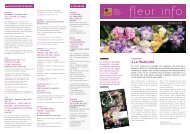 Fleur Info novembre 2012 - SociÃ©tÃ© Nationale d'Horticulture de France