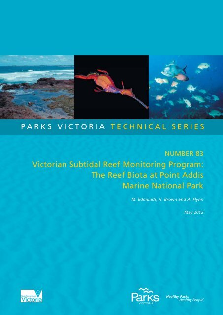 the reef biota at point addis marine national park - Parks Victoria