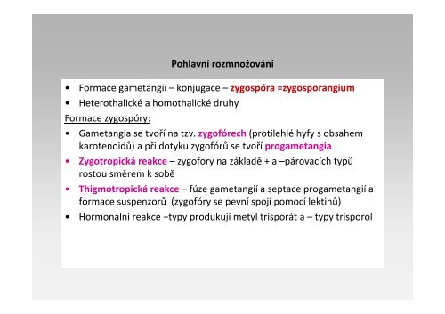 Glomeromycota, Zygomycotina a Chytridiomycota - Mykologie