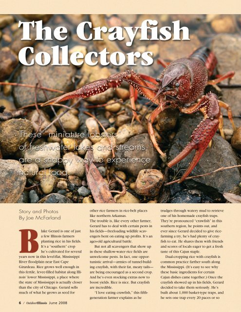 The Crayfish Collectors - Illinois DNR