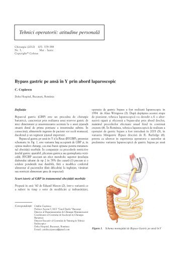 Bypass gastric pe ansÃ£ Ã®n Y prin abord laparoscopic - Chirurgia