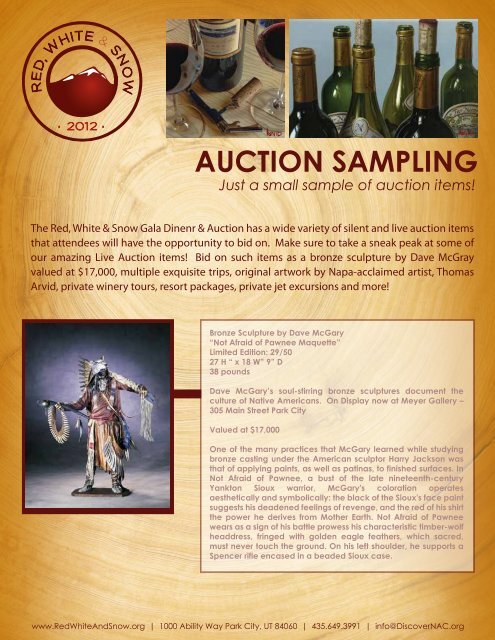 2012 RWS Auction Items - National Ability Center