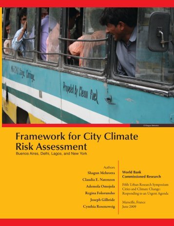 Framework for City Climate Risk Assessment: Buenos Aires, Delhi ...
