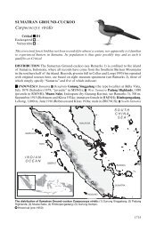 Carpococcyx viridis - BirdBase