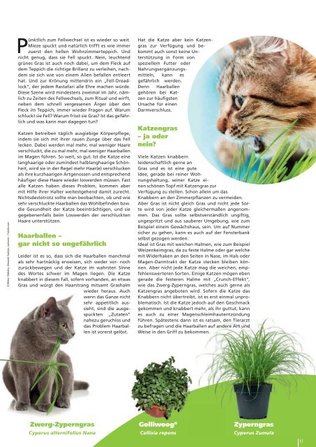 Freunde Magazin Winter 2013 S. 01 - Alles-Fuer-Tiere