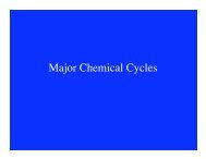 Major Chemical Cycles