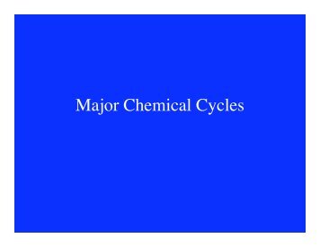 Major Chemical Cycles