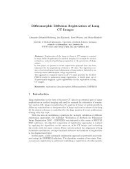 Diffeomorphic Diffusion Registration of Lung CT Images