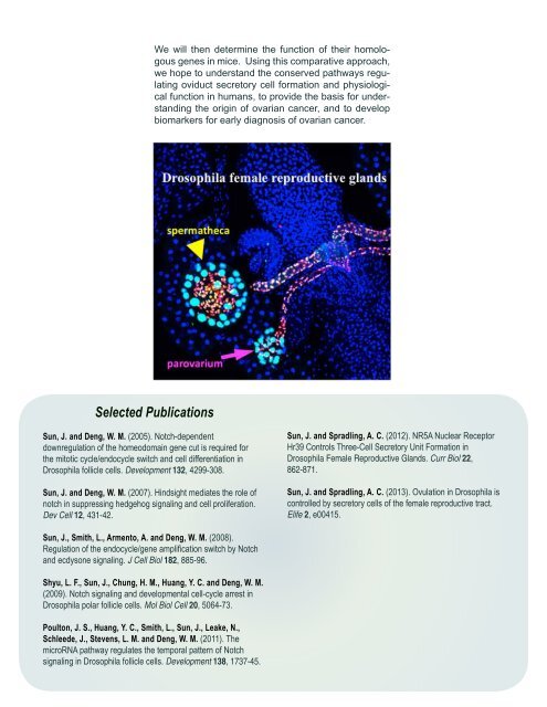 Information Brochure (pdf) - Physiology and Neurobiology ...