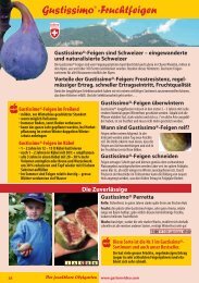 GustissimoÂ® -Fruchtfeigen - Lubera