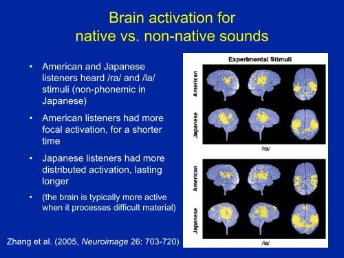 Linguistic categories and speech perception