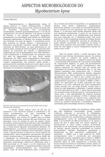 ASPECTOS MICROBIOLÃGICOS DO Mycobacterium leprae