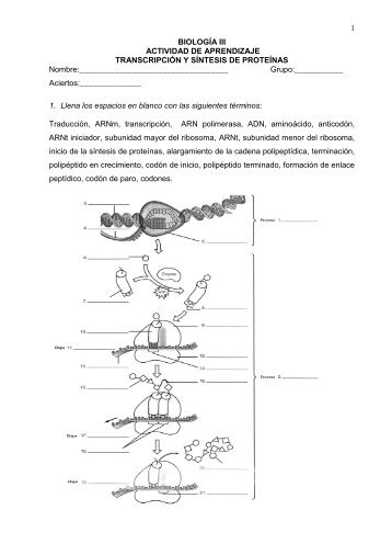 Sintesis de proteinas 2012.pdf