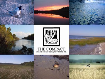 Blankets & Belts - The Compact of Cape Cod Conservation Trusts