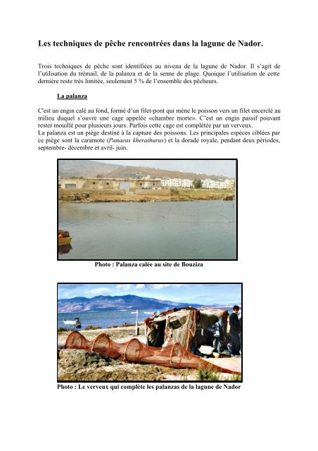 PÃªche artisanale dans la lagune de Nador ... - Fao - Copemed