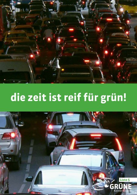 Adrian Borgula in den Regierungsrat! die zeit ist reif ... - GrÃ¼ne Luzern