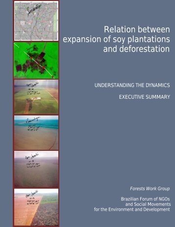 Relation between expansion of soy plantations and deforestation