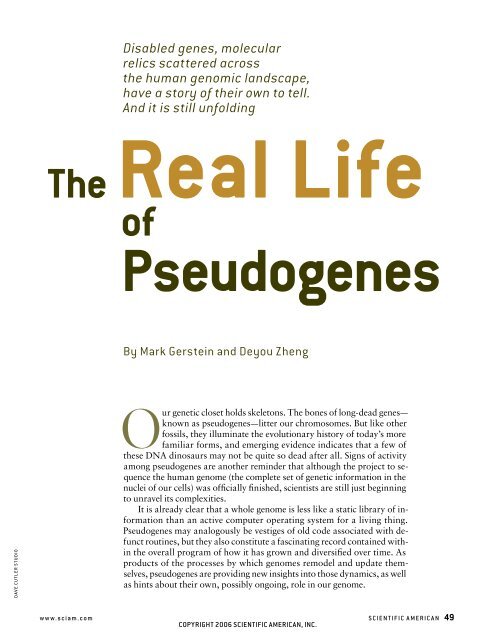 The Real Life of Pseudogenes Disabled genes, molecular - People