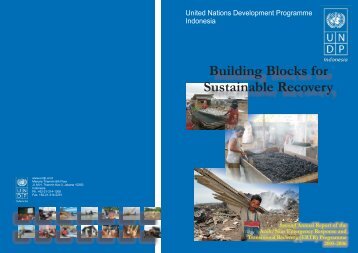 Building Blocks for Sustainable Recovery - UNDP