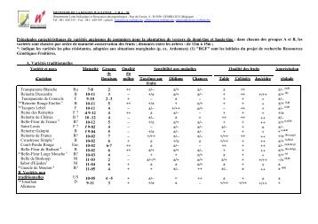 MINISTERE DES CLASSES MOYENNES