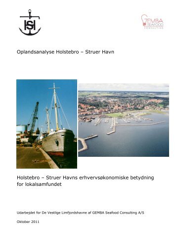 Oplandsanalyse Struer Havn - Struer kommune